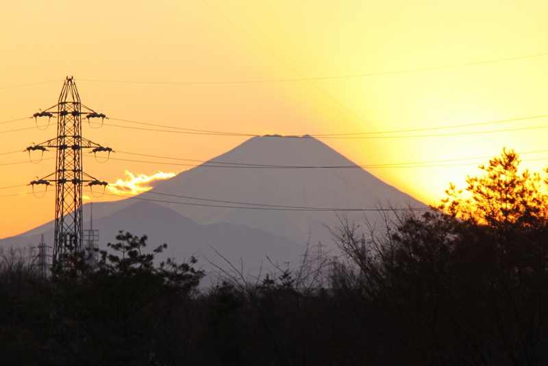 b0165522_10451839.jpg