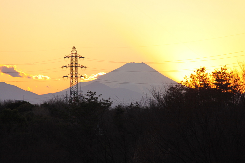 b0165522_10464990.jpg