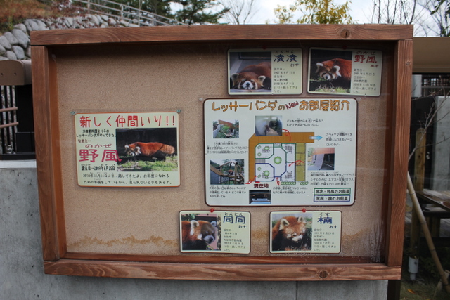 f0221023_1412323.jpg