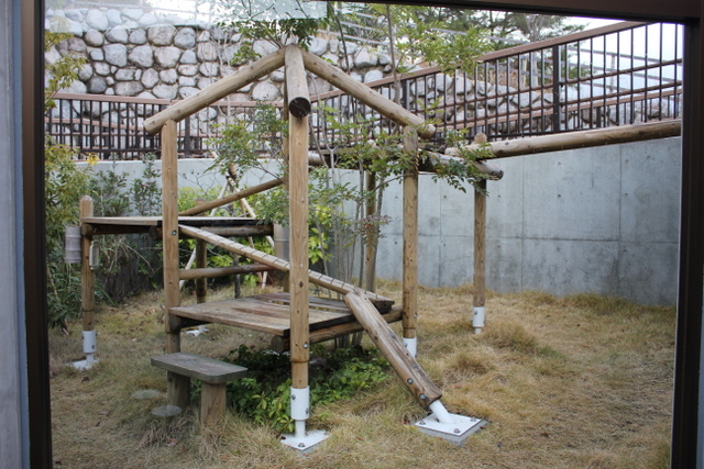 f0221023_1412530.jpg