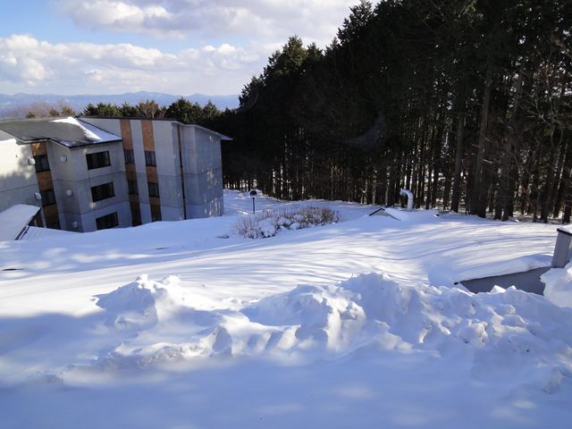 b0207724_10341737.jpg