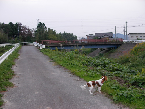 d0165124_11323694.jpg