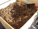 b0008825_1114389.jpg