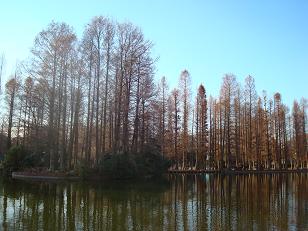 d0126127_19102215.jpg
