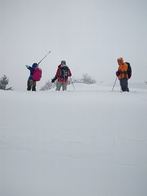 f0118332_20155967.jpg