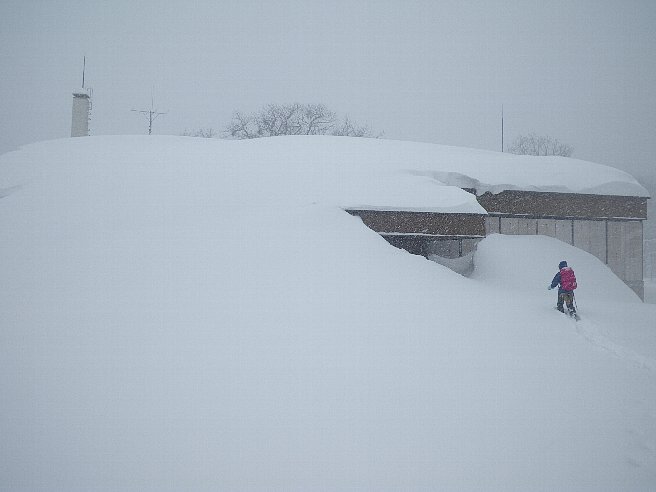 f0118332_2023244.jpg