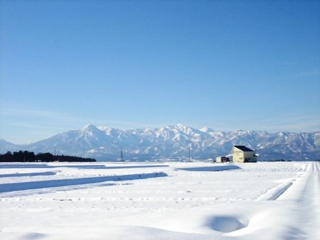f0131535_18453426.jpg