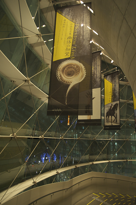 c0211639_23333970.jpg