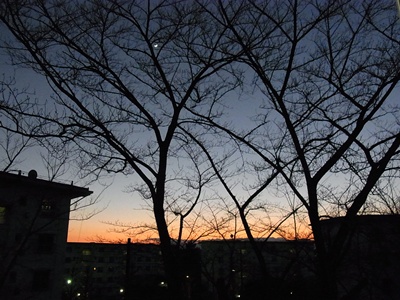 夕陽