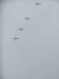 d0179044_1843410.jpg