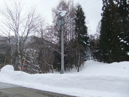 d0179044_1872455.jpg