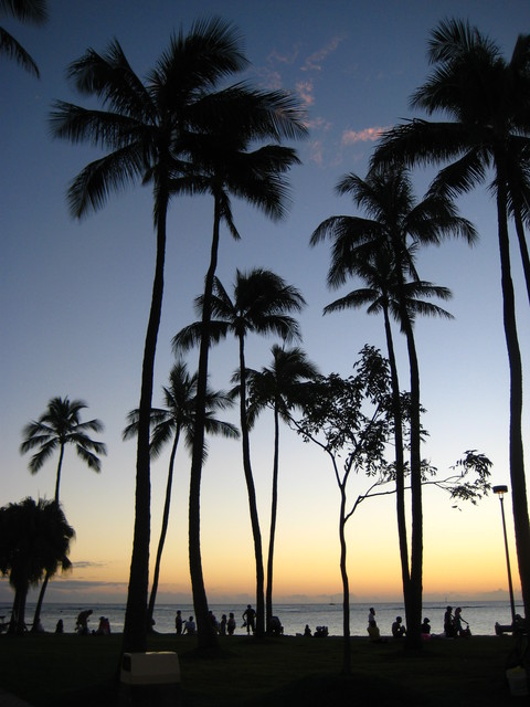 c0209845_1782446.jpg