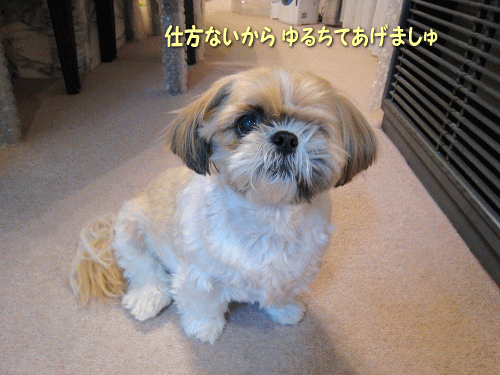 c0043751_147244.gif