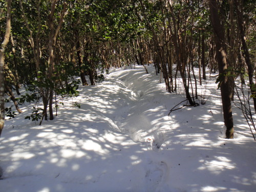 c0179351_2110379.jpg