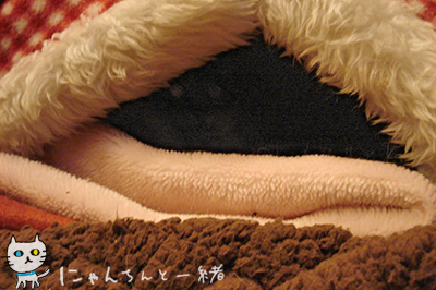 e0031853_2336286.jpg