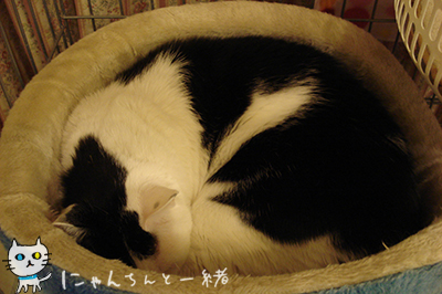 e0031853_2336627.jpg