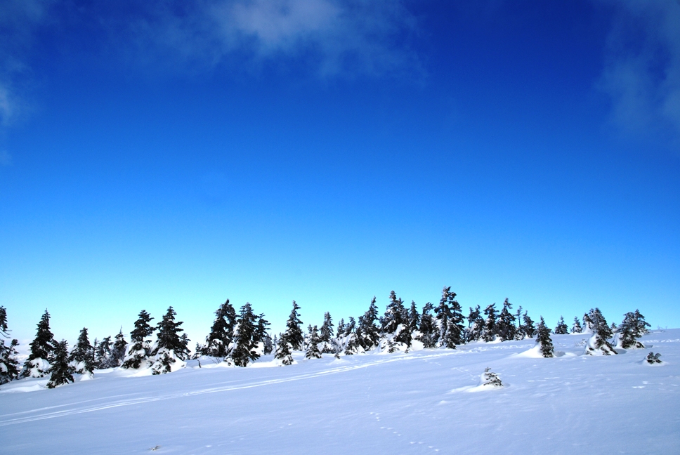 d0169556_17482015.jpg