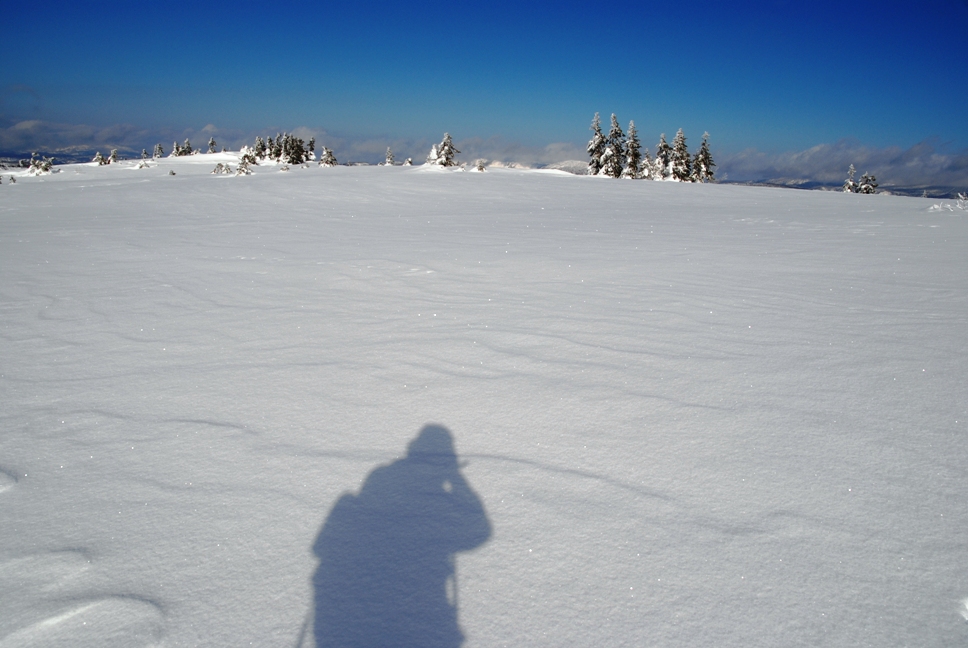 d0169556_18135320.jpg
