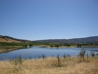 c0185058_4451132.jpg