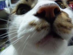 c0167359_2285971.jpg