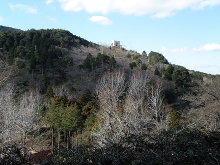 d0067165_20191294.jpg