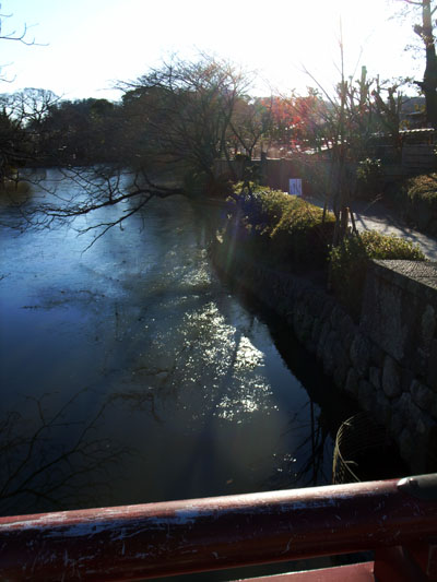 e0052268_15564022.jpg