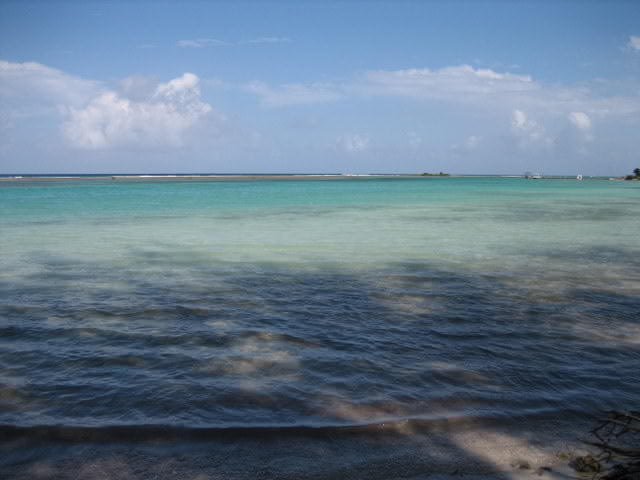 f0207969_20381619.jpg