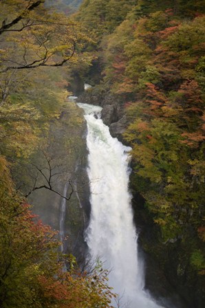 a0100975_10544247.jpg