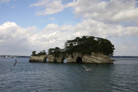 a0100975_1242878.jpg