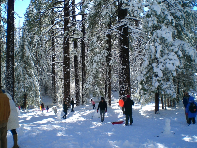 c0187677_1352421.jpg