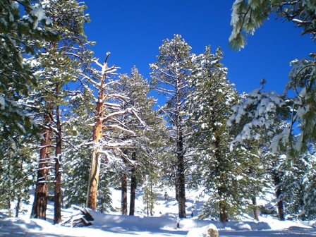 c0187677_135334100.jpg