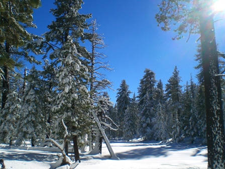 c0187677_13535366.jpg