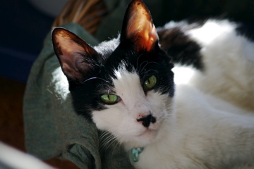 f0054677_613569.jpg