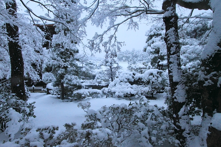 e0051888_21315684.jpg