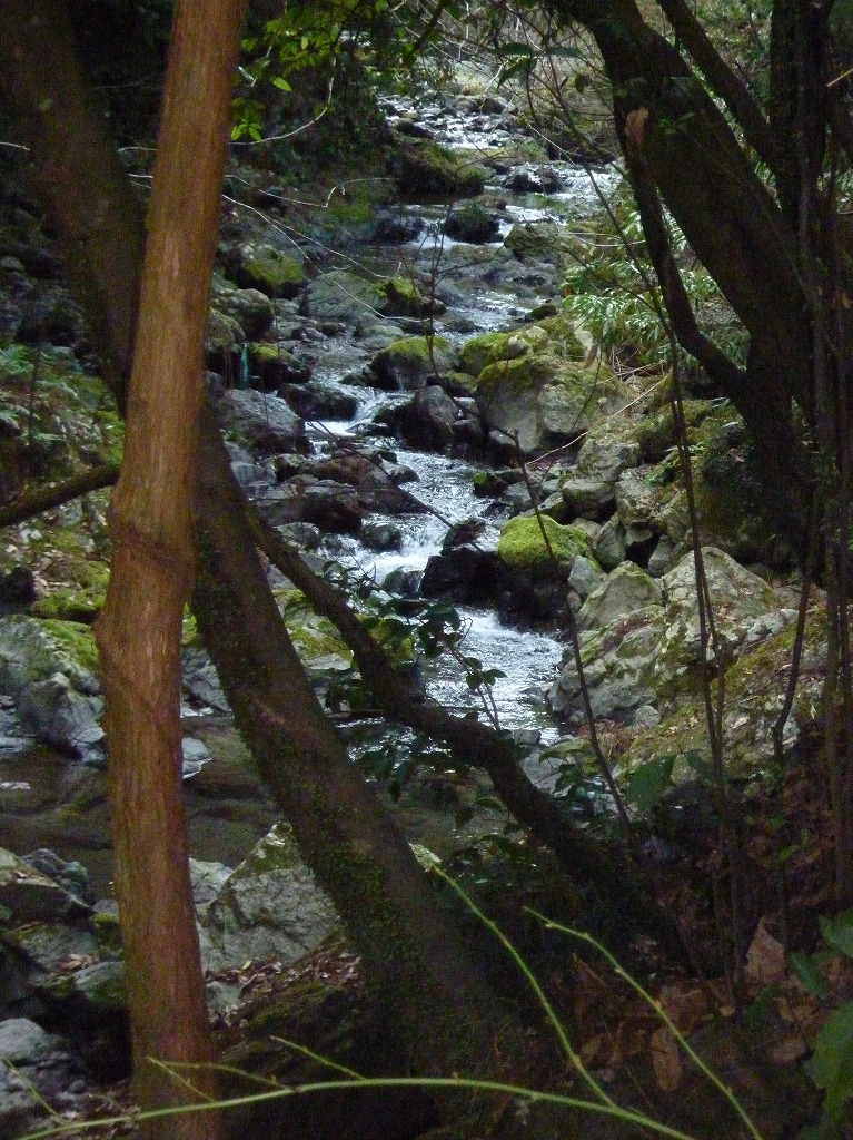 a0118289_1881918.jpg