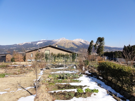 f0209394_23145049.jpg