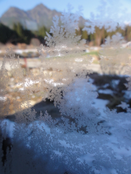 f0209394_2381775.jpg