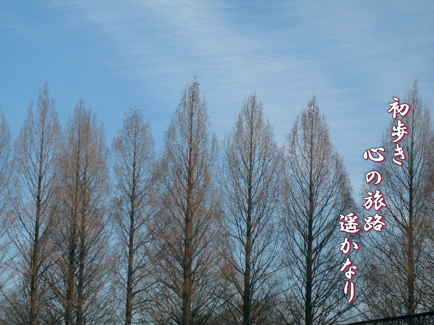 f0137096_2213957.jpg