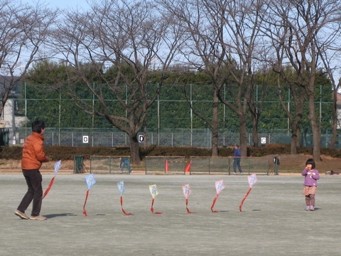 f0137096_22252948.jpg