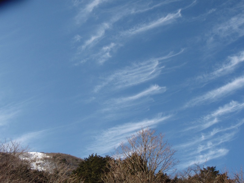 b0039898_15402276.jpg