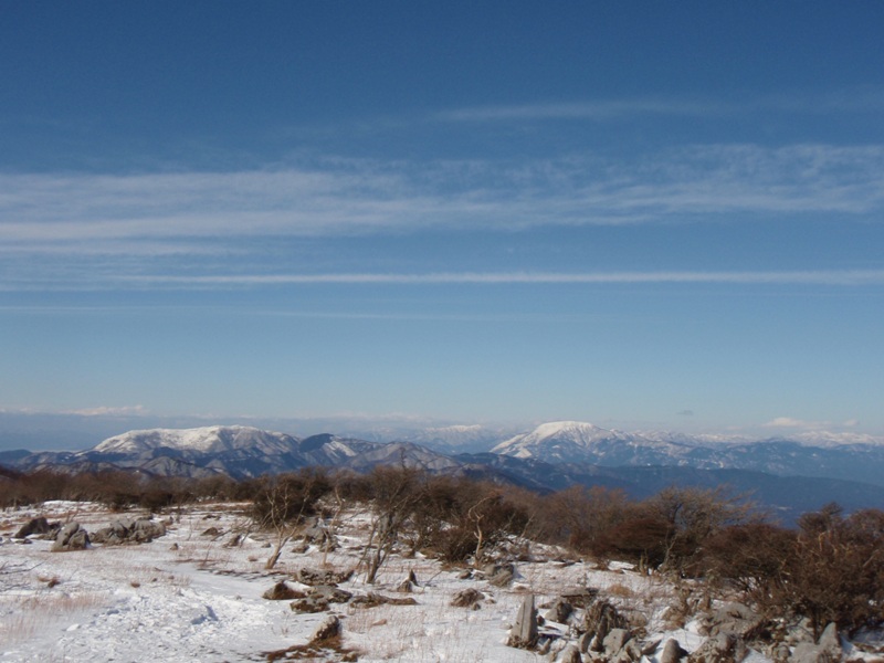 b0039898_15421899.jpg