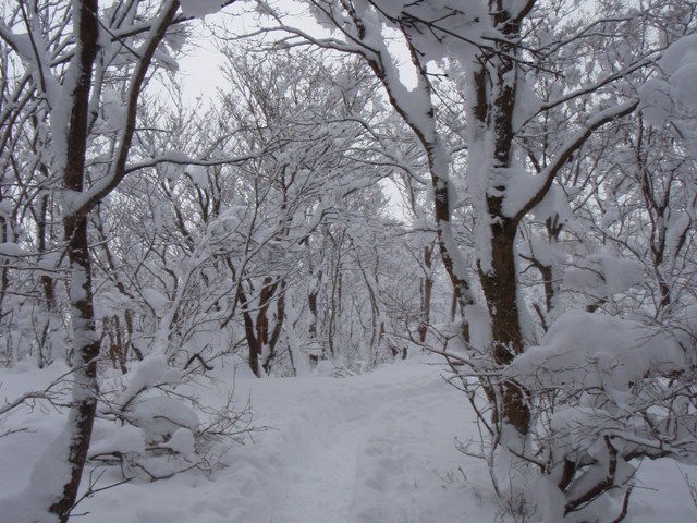b0039898_15575926.jpg