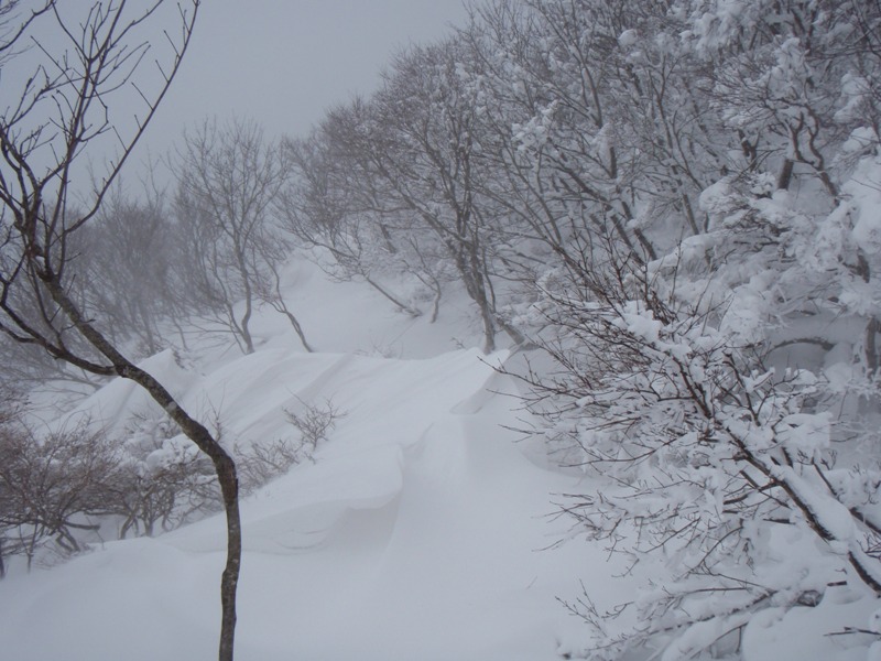 b0039898_15582175.jpg