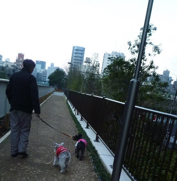 c0138198_9152317.jpg