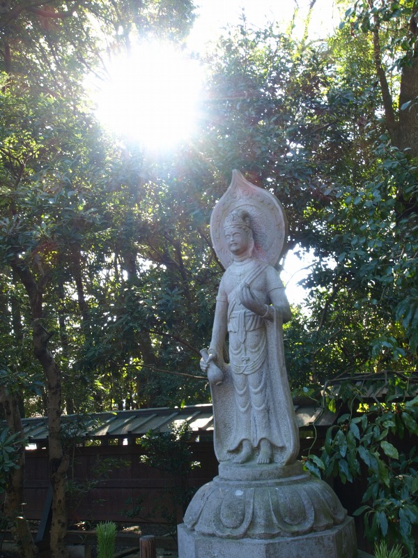 f0224100_785986.jpg