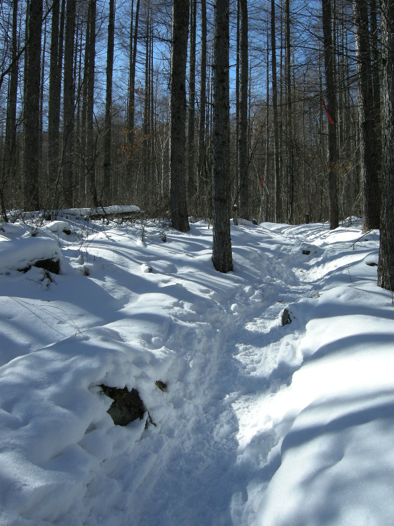 a0158802_223361.jpg