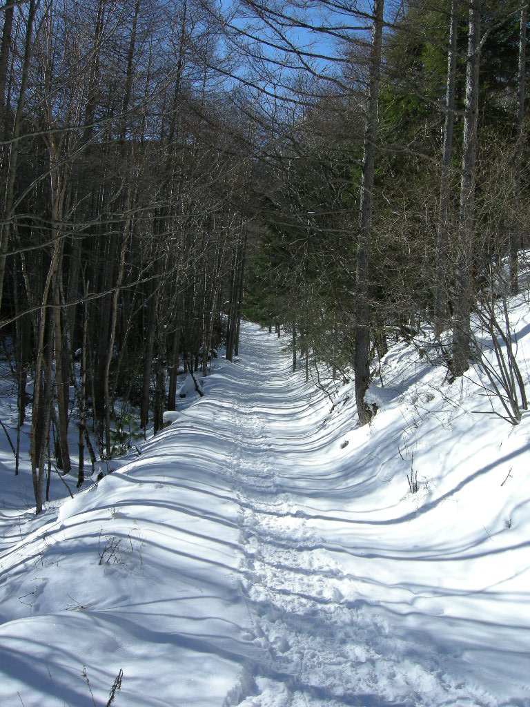 a0158802_2233954.jpg