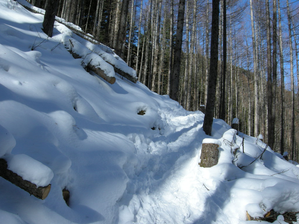 a0158802_2235730.jpg