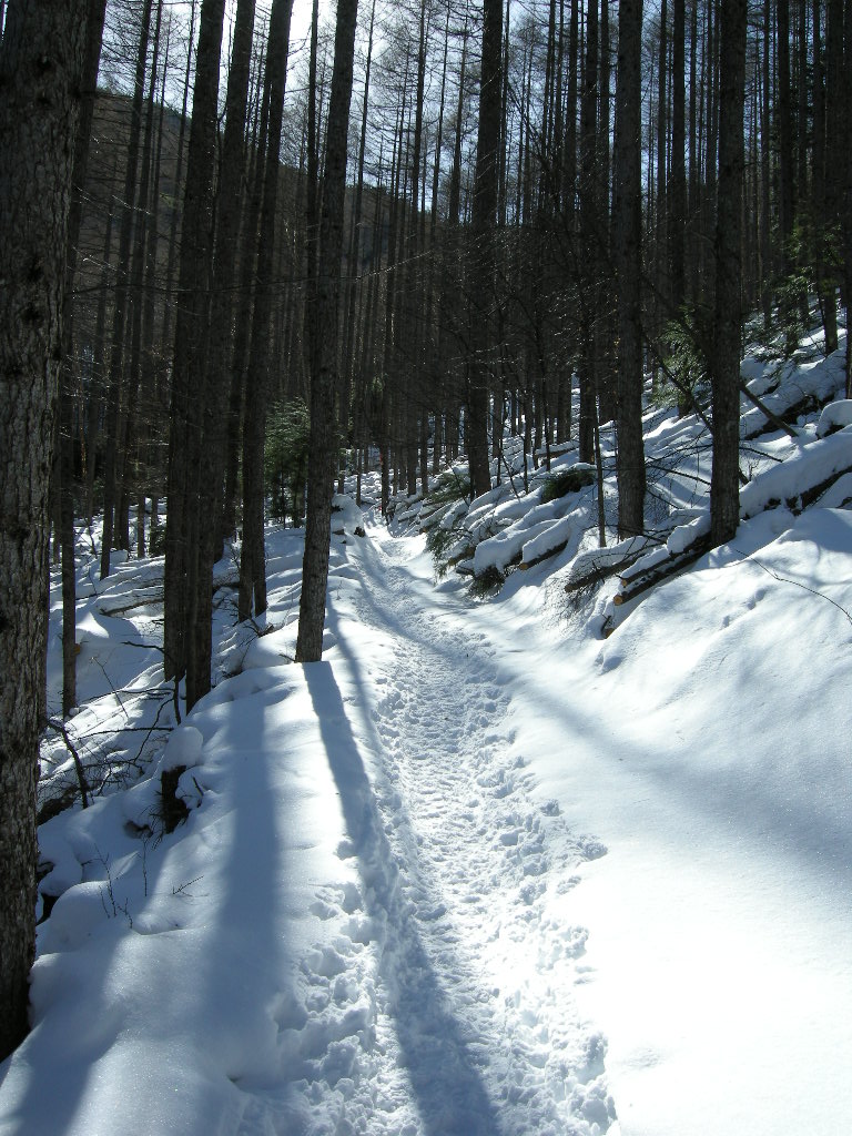 a0158802_2241711.jpg