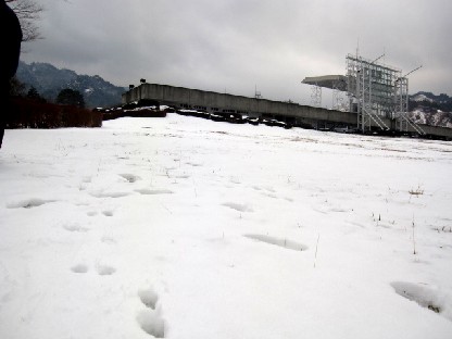 a0040103_227511.jpg